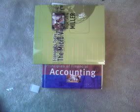 accountingandeconomics.jpg