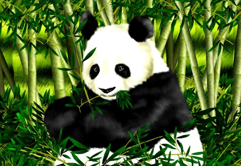 Panda_Panda_by_MobileSuitGio.jpg