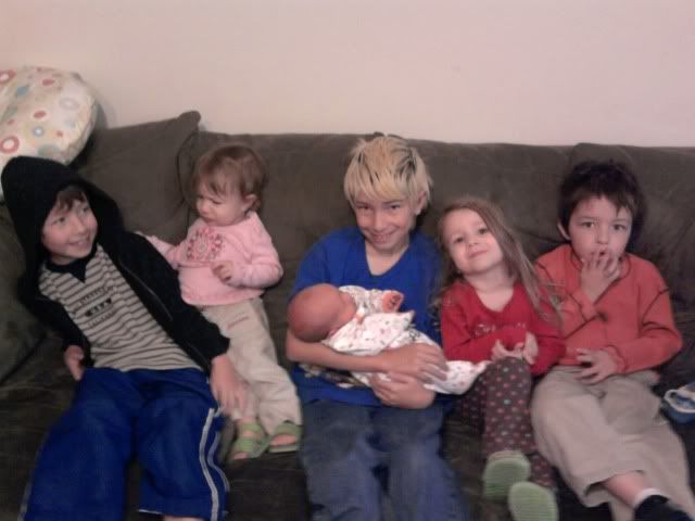 my brood