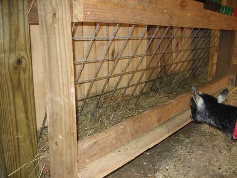 Hay manger ?? - Goats