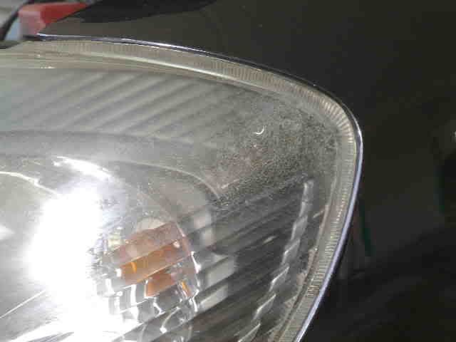 12062010176.jpg