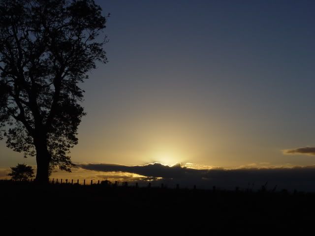 DSC01930.jpg