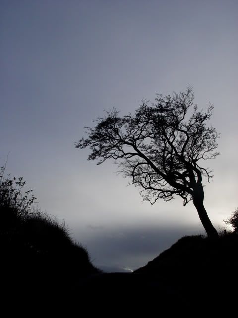 DSC02214.jpg