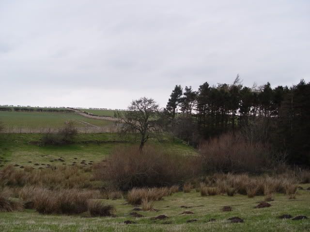 DSC03065.jpg