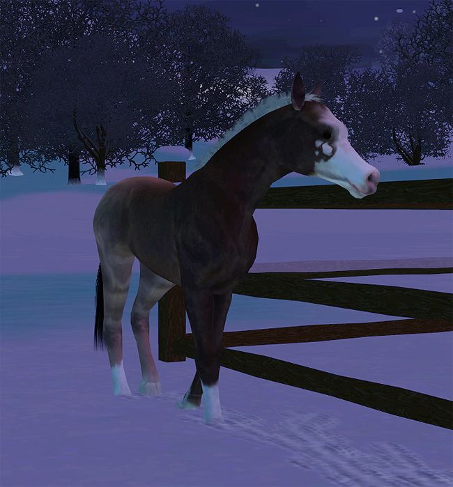 simspetsfoal10_zps30aa1224.jpg