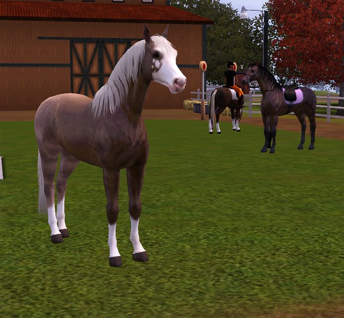 simspetsfoal11_zpsb296d071.jpg