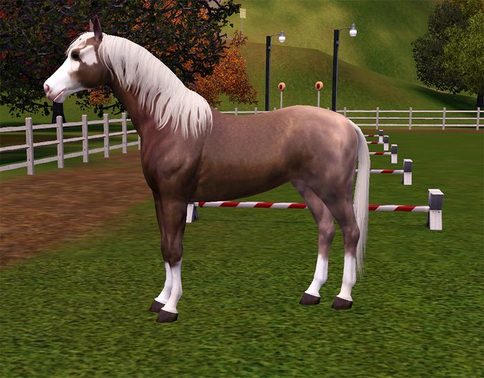 simspetsfoal12_zps7b55e53b.jpg