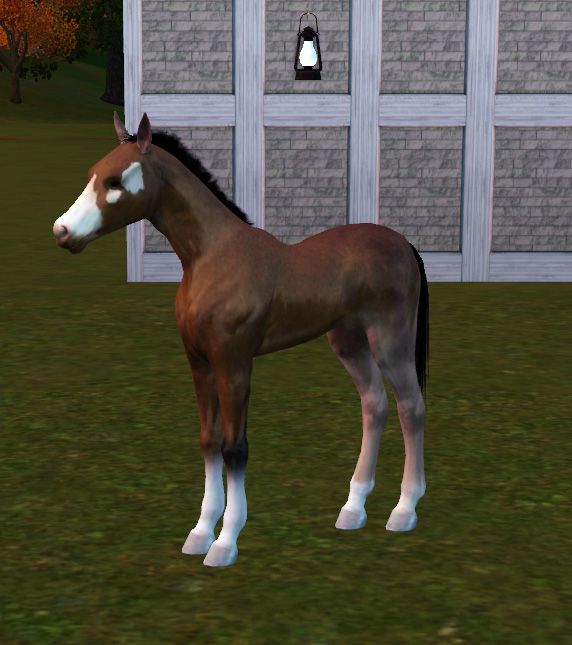 simspetsfoal15_zpsb41c5f93.jpg