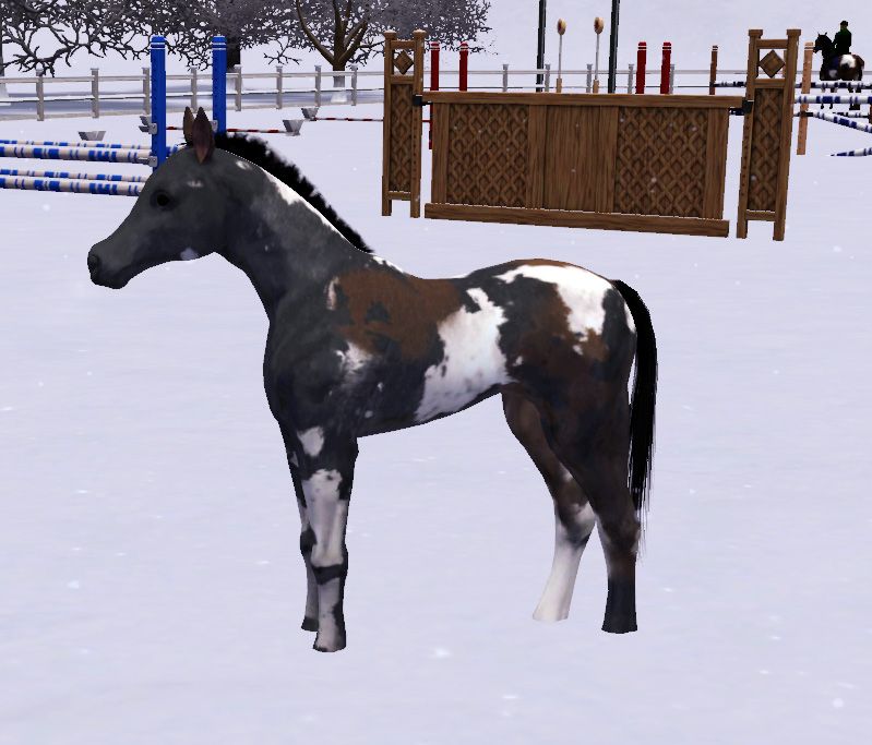 simspetsfoal19_zpsc4c7c108.jpg