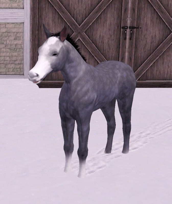 simspetsfoal3_zpsf2bfe5a1.jpg