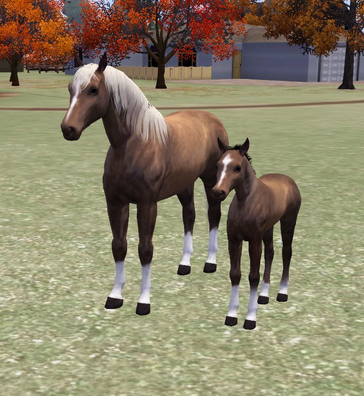 simspetsfoal6_zps7947226e.jpg