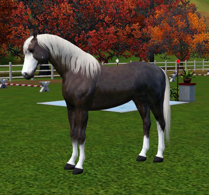 simspetsfoal7_zps62d37a62.jpg