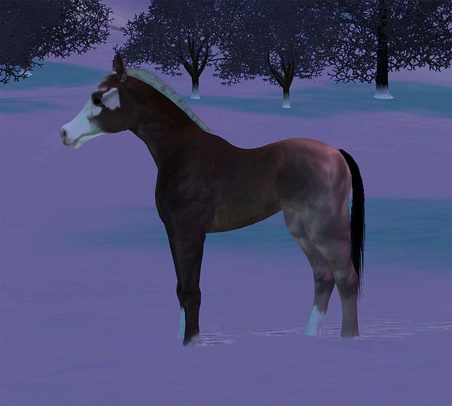 simspetsfoal9_zpsa89e8991.jpg