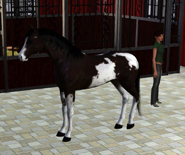 simspetshorse2_zps6504f3f1.jpg