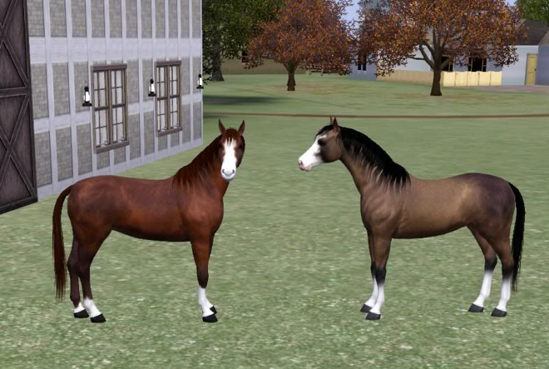 simspetshorsepair1_zpsda0901ad.jpg