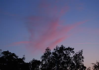 solnedgang-2.jpg