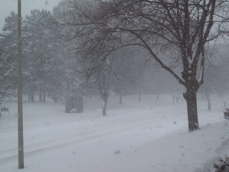 We got.. SNOW!!