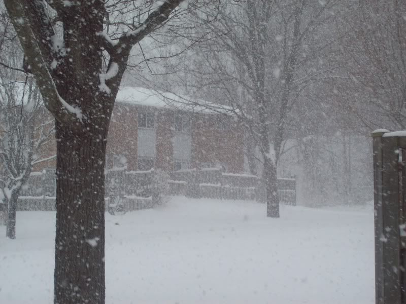 We got.. SNOW!!