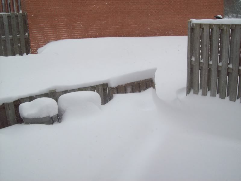 We got.. SNOW!!