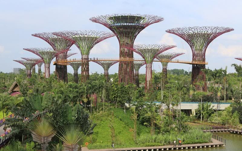 Gardens by the Bay