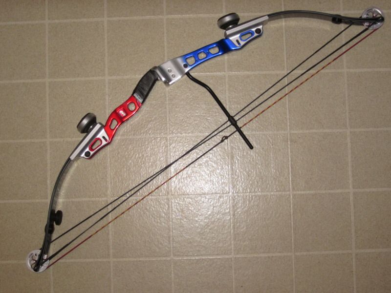 Recurve vs reflex