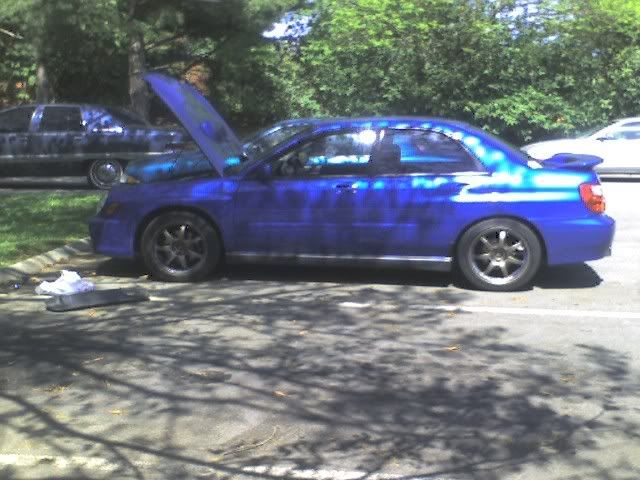 1989 Honda Civic HB 1995 Dodge