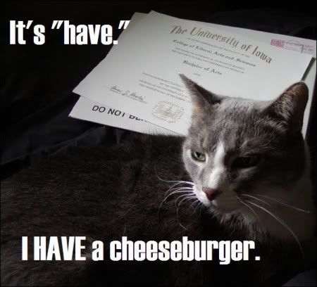 havecheeseburger.jpg