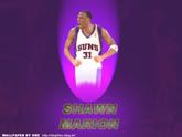 Download Shawn Marion wallpaper