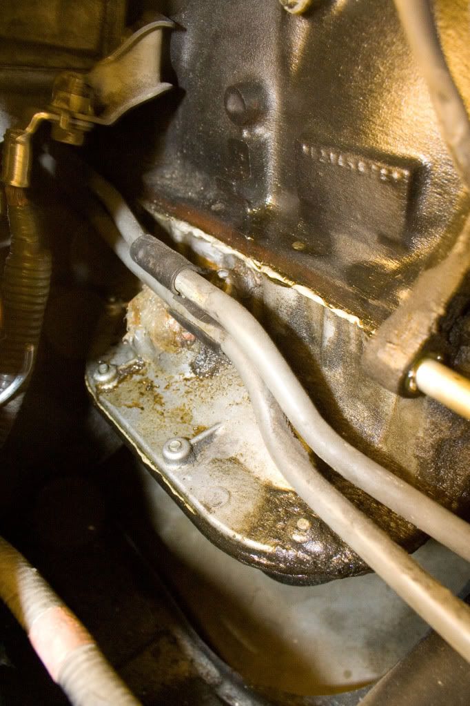 Oil leak behind the alternator