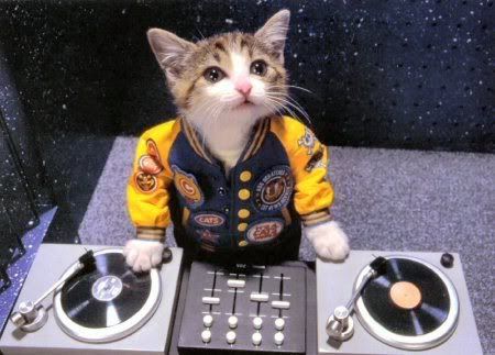 kitty-dj.jpg