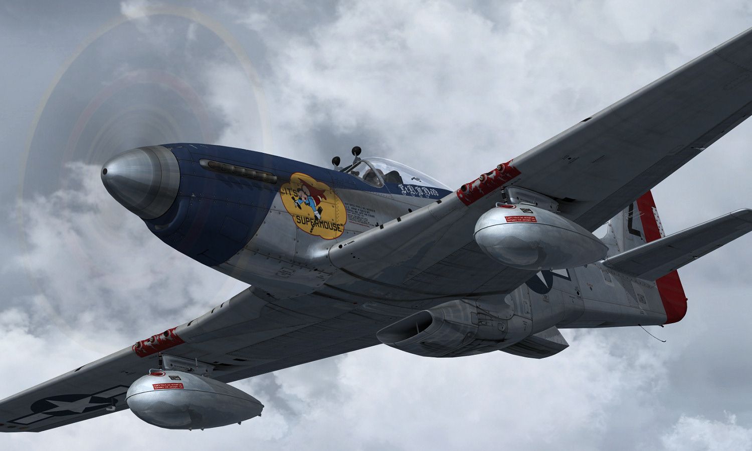 p51_inflight_6.jpg