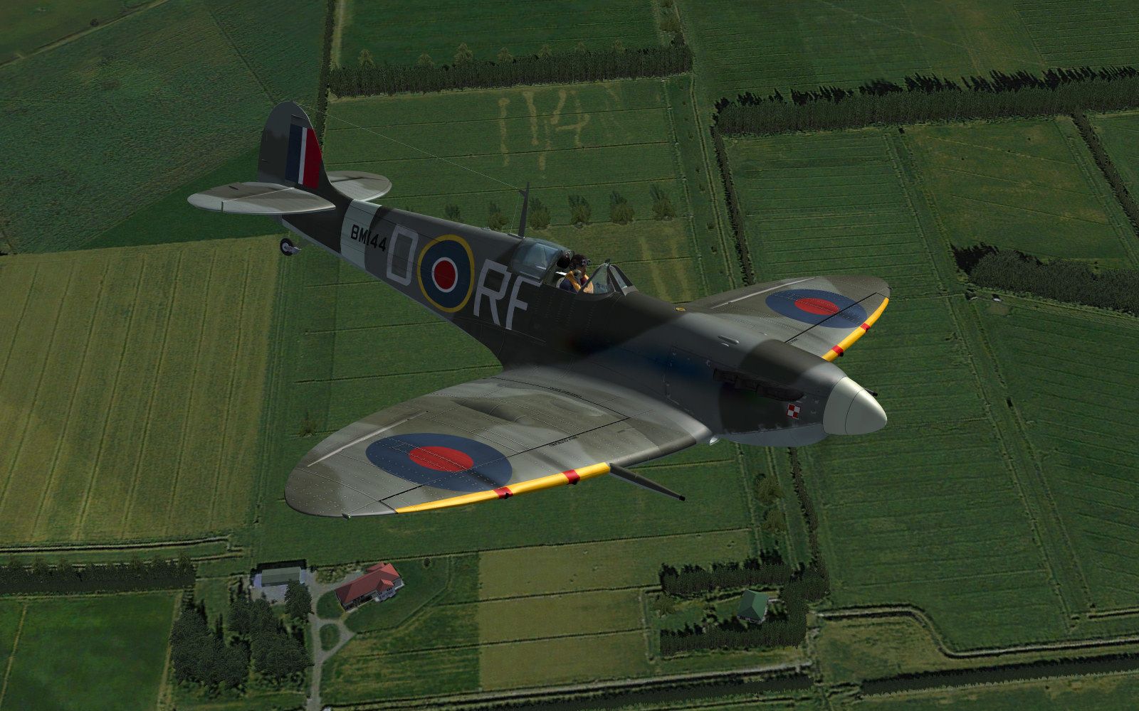 spitfire_6.jpg