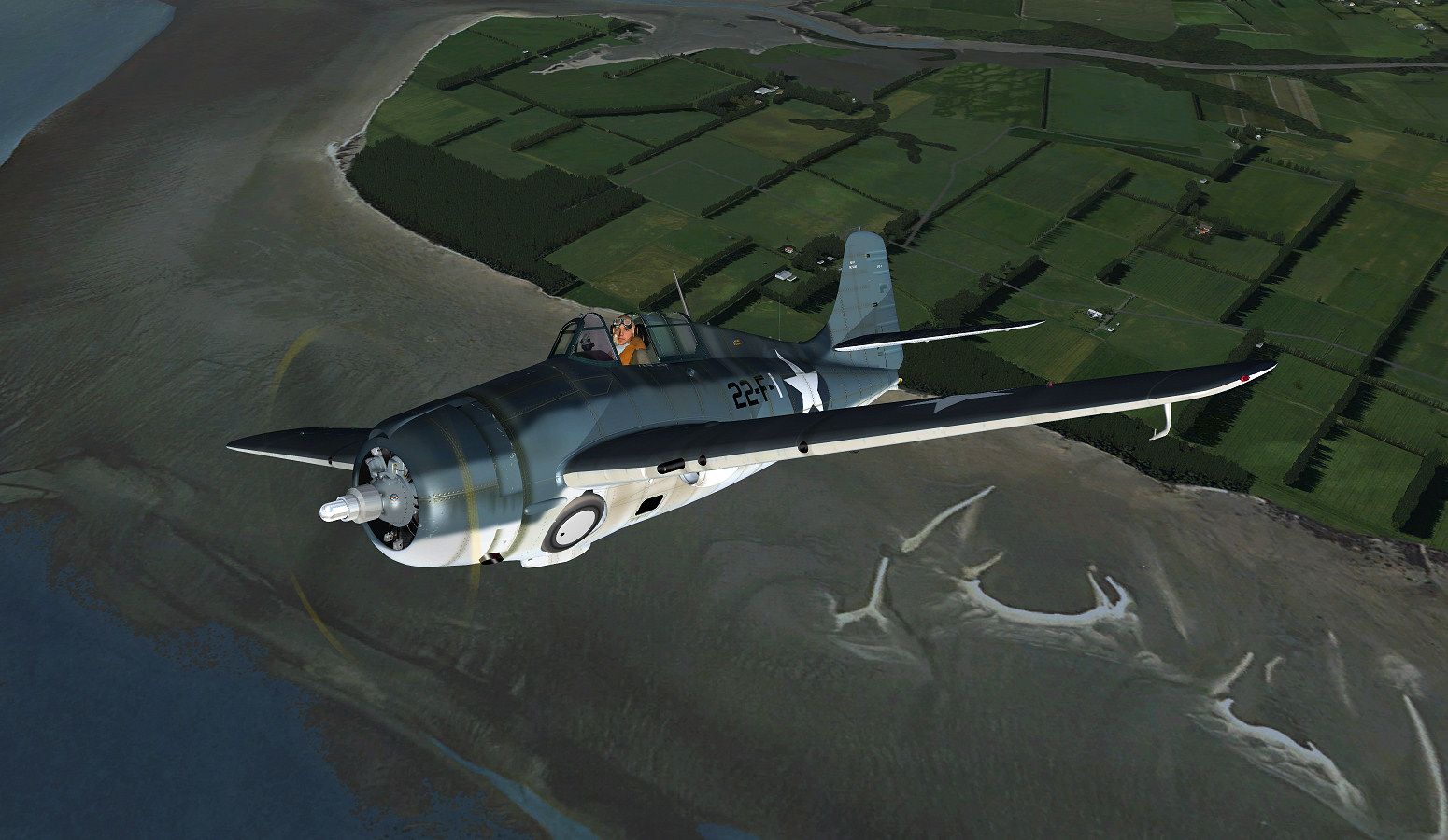 wildcat_3.jpg