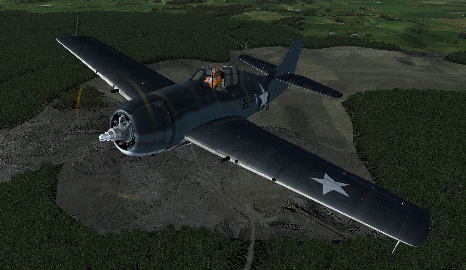 wildcat_6.jpg