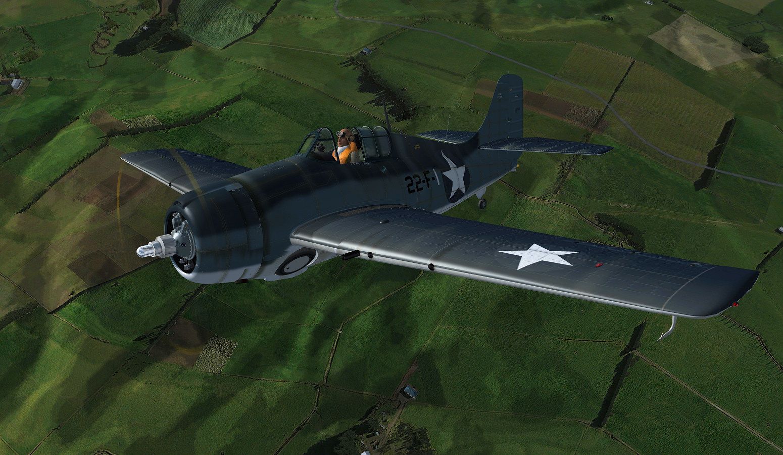 wildcat_7.jpg