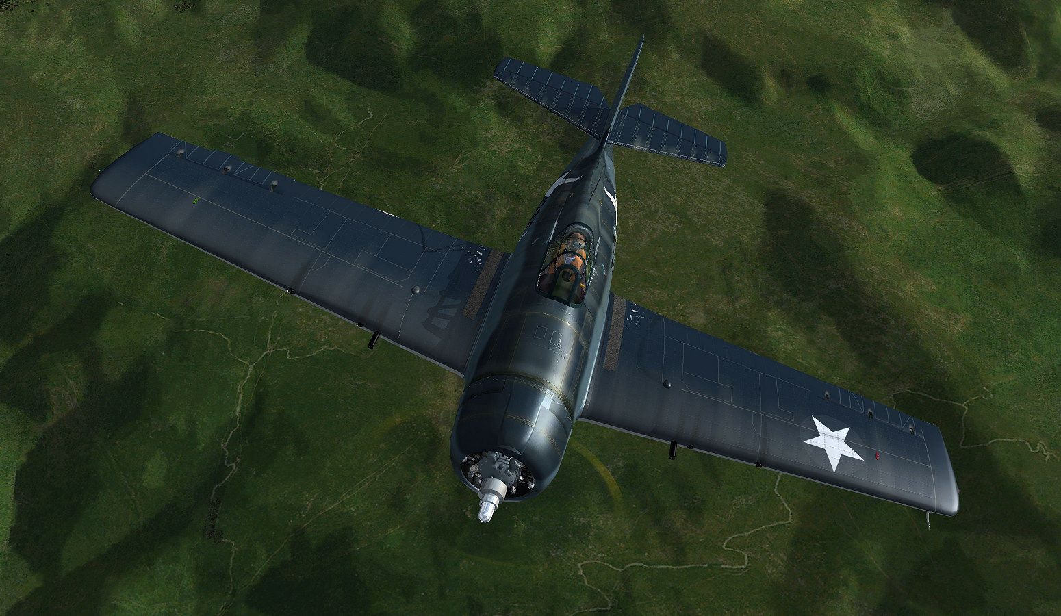 wildcat_8.jpg