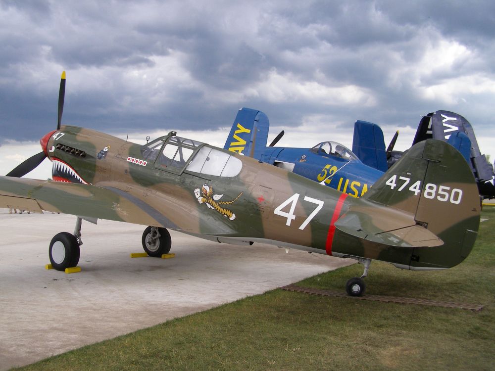 P-40_3.jpg