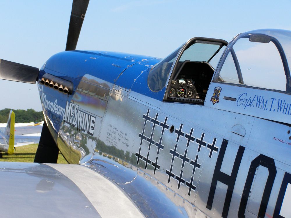 P-51_Moonbeam_McSwine.jpg