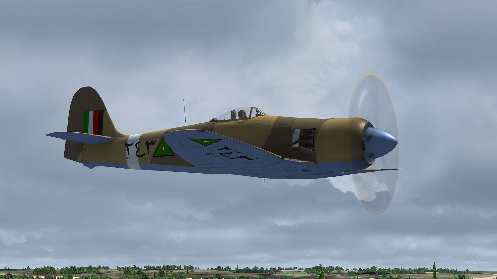 sf_5.jpg