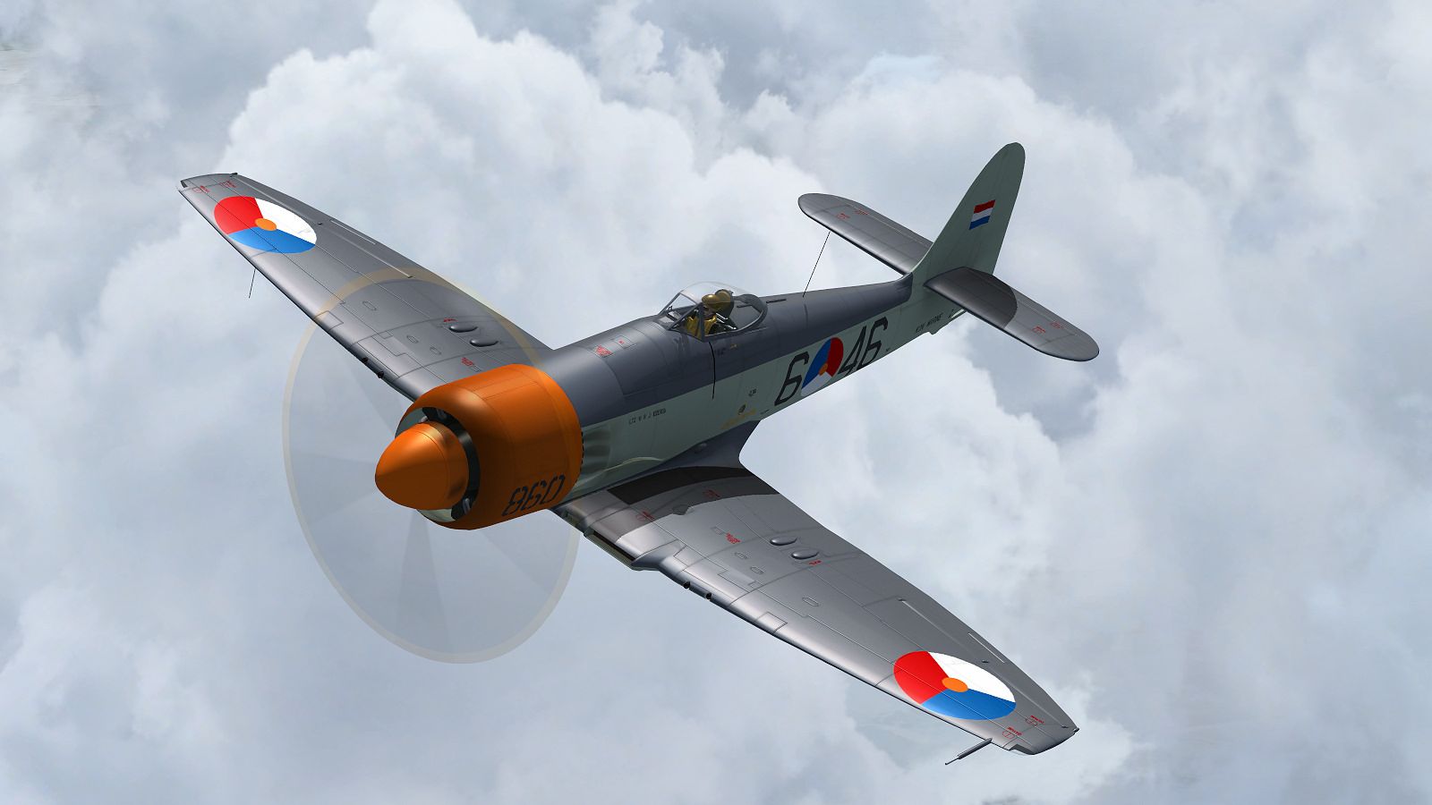 sf_9.jpg