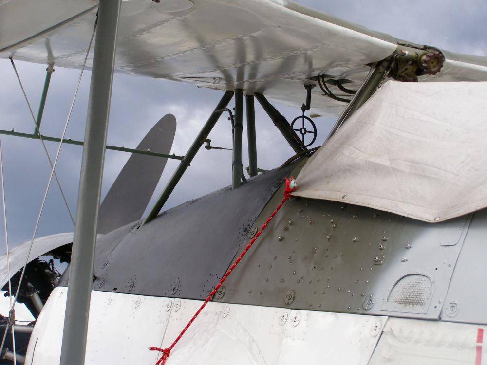 Swordfish2.jpg