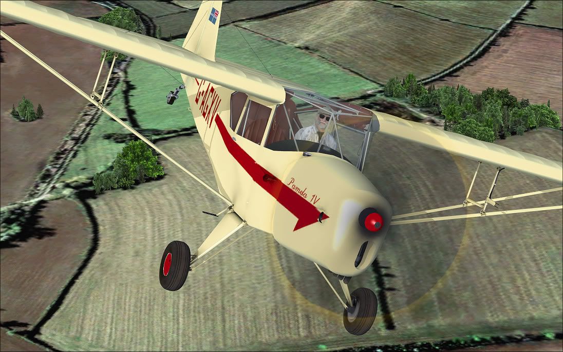auster_1.jpg