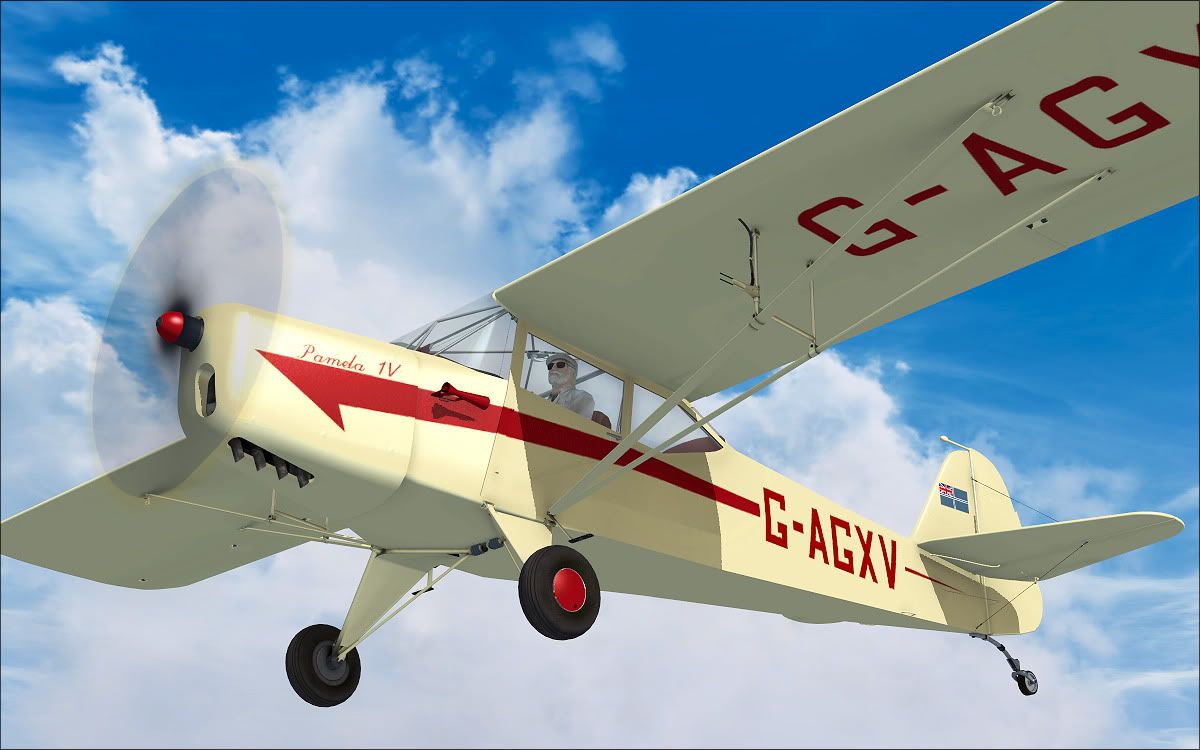 auster_3.jpg