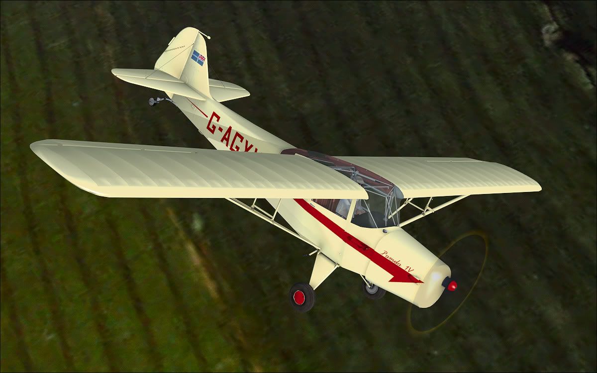 auster_5.jpg
