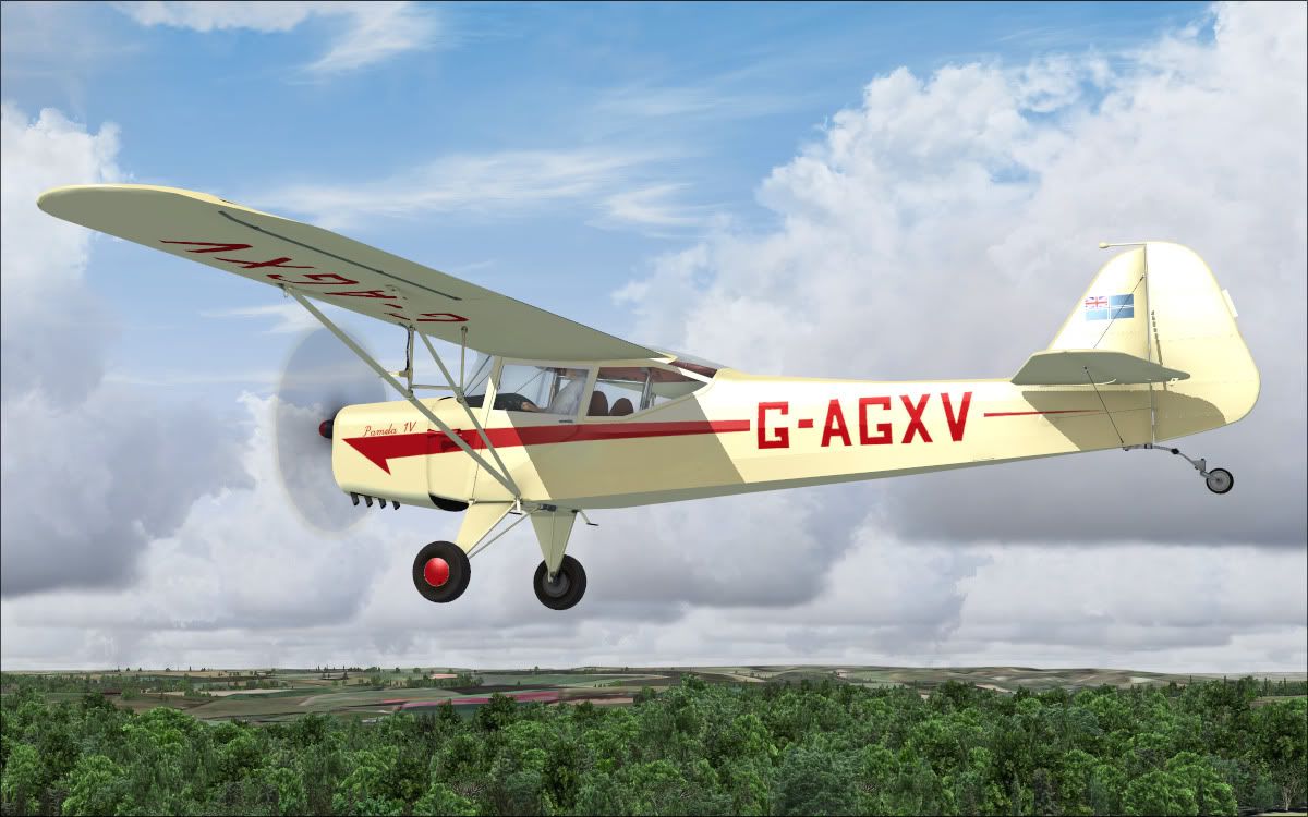 auster_6.jpg