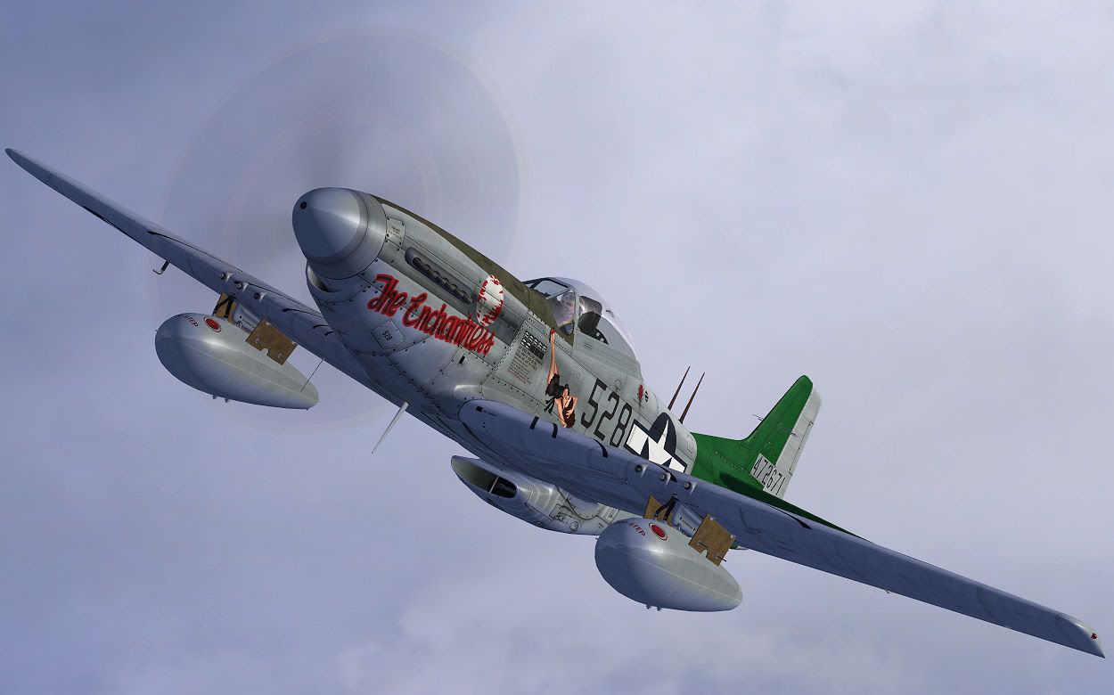 p51_img2.jpg