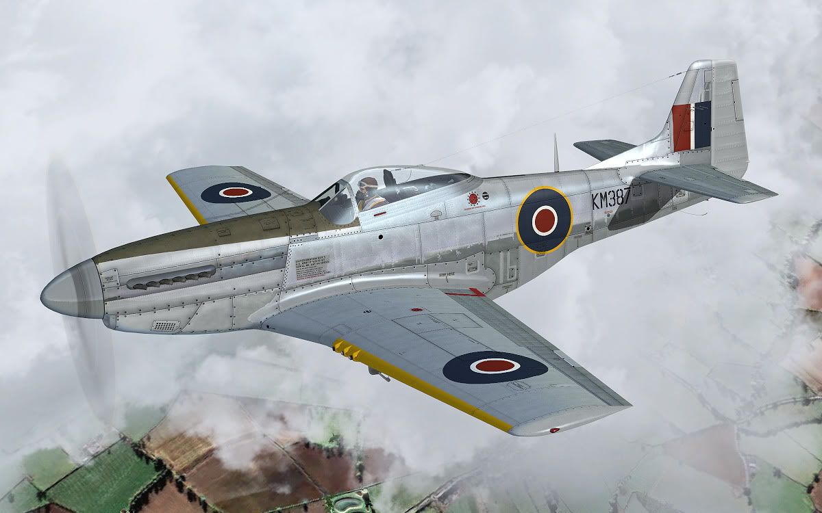 p51k_raf1.jpg