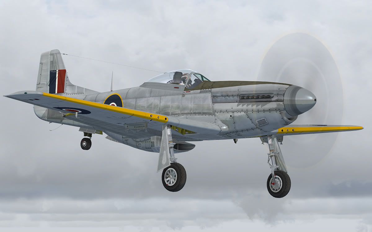 p51k_raf2.jpg