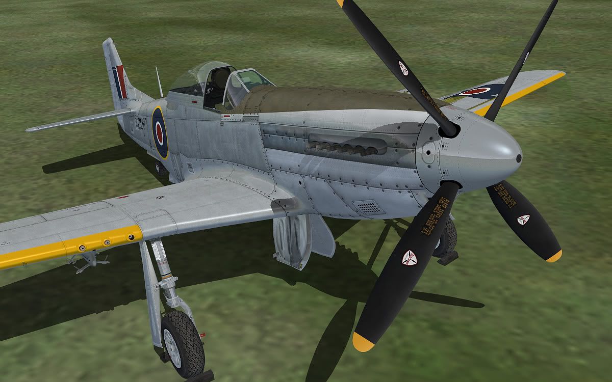 p51k_raf4.jpg