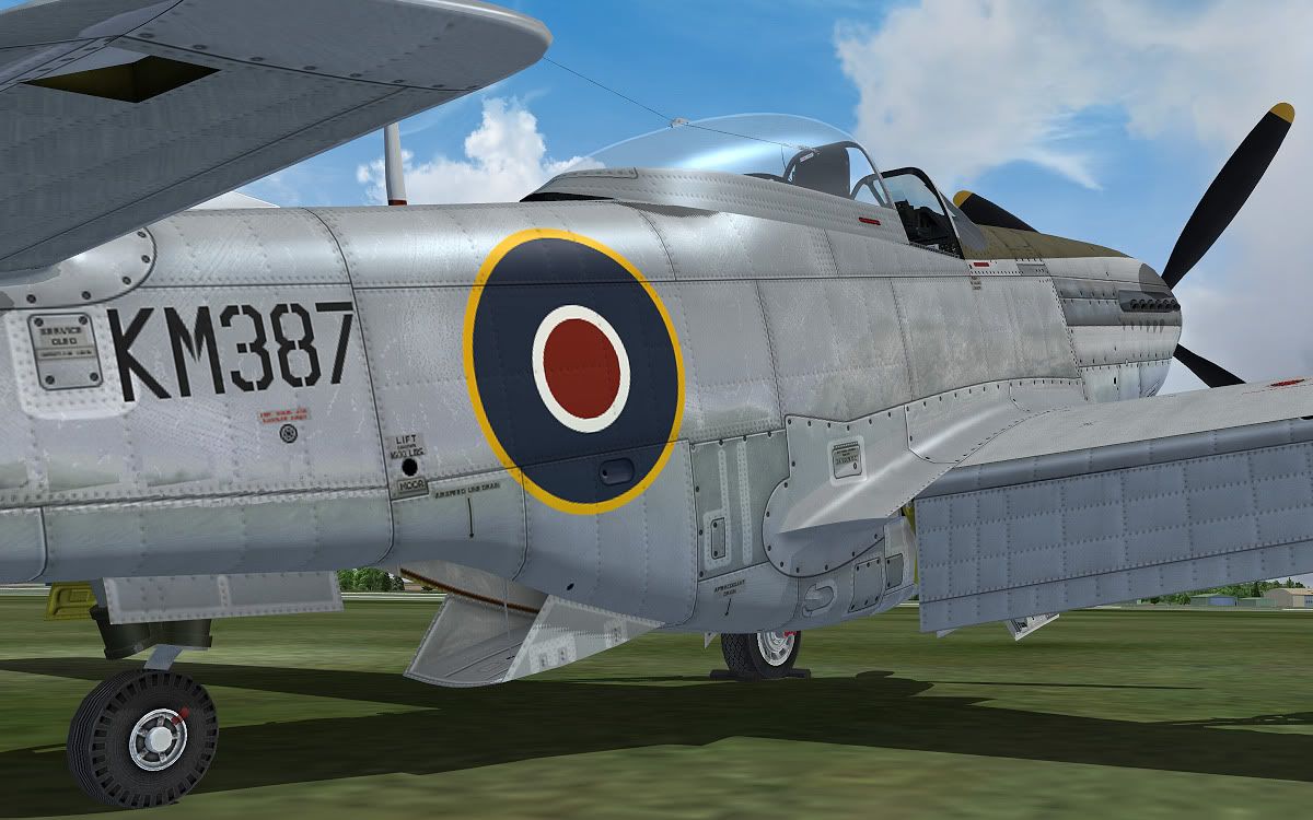 p51k_raf8.jpg